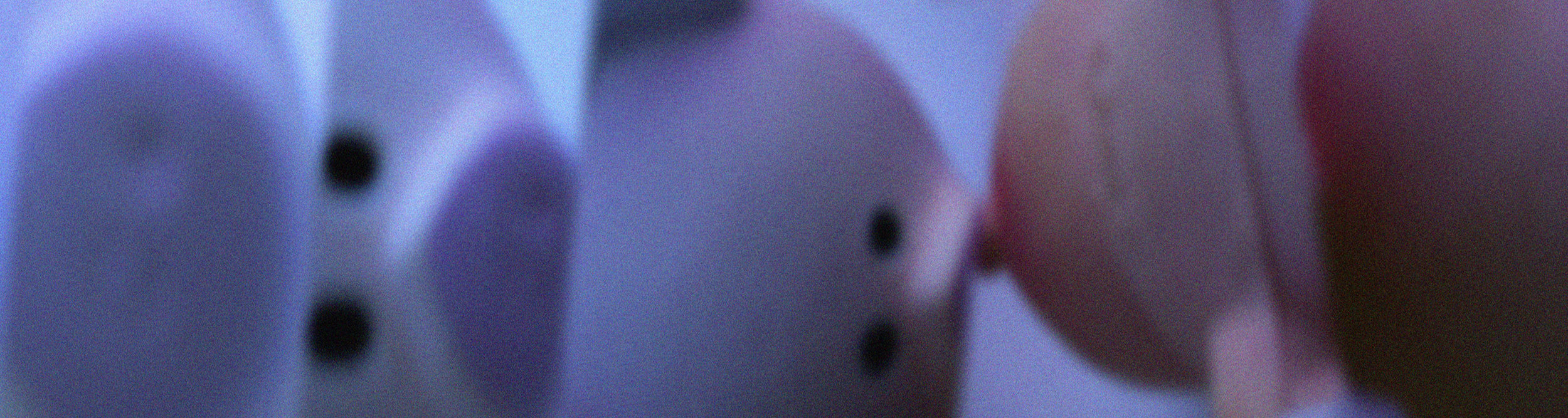 Pig Montage Long